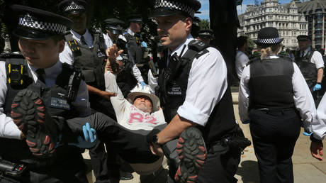 Dozens arrested after UK brands Palestine Action a ‘terror group’ (VIDEOS)