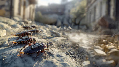 Germany investing in ‘spy cockroaches’ – Reuters