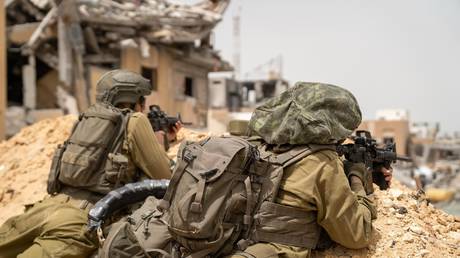 Israel to ‘do in Gaza what we did in Tokyo and Berlin’ - senator