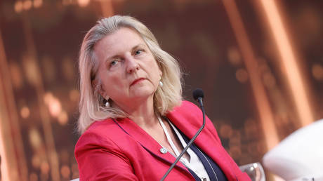 West could be behind Ukraine’s anti-graft rallies – ex-Austrian FM
