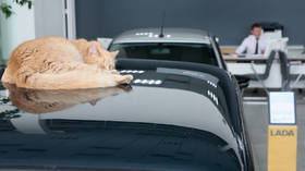 Car sales plunge in Russia