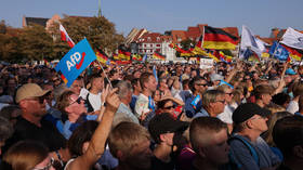 Germany’s AfD to soften stance on migrants — Bild