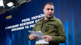 Ukraine needs ceasefire by end of 2025 – spy chief