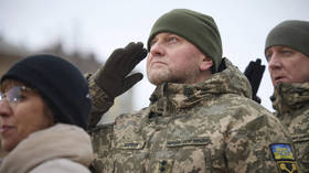 Ukraine should ask US for obsolete weapons – Zaluzhny