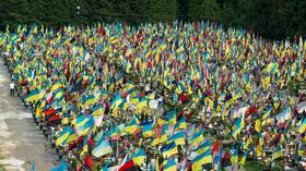 Ukraine needs people not weapons – MP