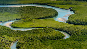 Two African island sites added to UNESCO World Heritage list (PHOTOS)