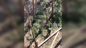 Russian soldier catches Ukrainian drone with bare hands (VIDEO)