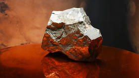 Largest Martian meteorite breaks auction record