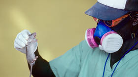 Deadly fever outbreak claims over 150 lives in African country