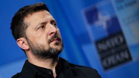 US ready to buy Ukrainian drones – Zelensky
