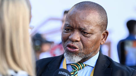 FILE PHOTO: Gwede Mantashe.