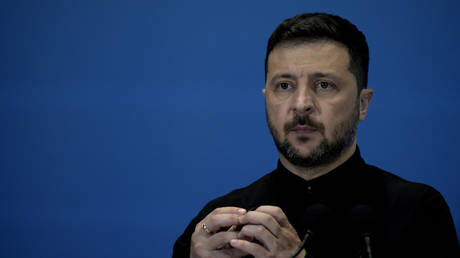 Zelensky Criticizes Exclusion from Trump-Putin Summit