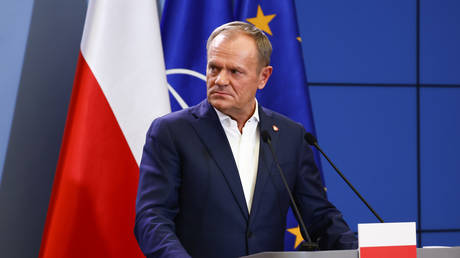 Polish PM blasts ‘local idiots’ after neo-Nazi flag scandal (VIDEO)