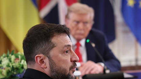 Trump pushing Zelensky to sacrifice land for peace – ex-congressman