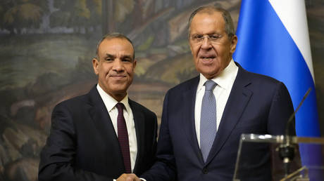 Russia and Egypt discuss global conflicts
