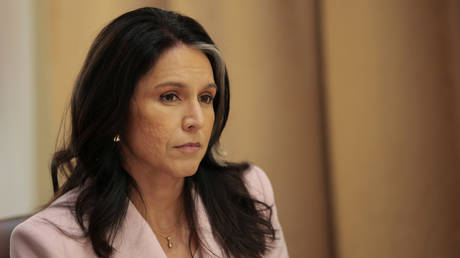 Russia had no preference in 2016 US election – Gabbard