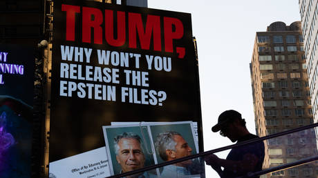 Epstein didn’t kill himself – Maxwell