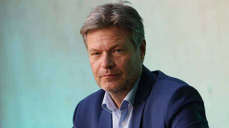 Ex-German vice chancellor warns of end of mainstream ‘dominance’
