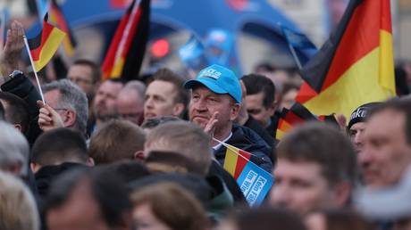 Most Germans favor Ukraine ceding land to Russia – poll