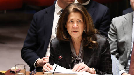 US ambassador to UN defends Israeli hospital strike (VIDEO)