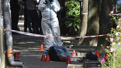Suspected assassin of neo-Nazi Ukrainian MP detained – Zelensky