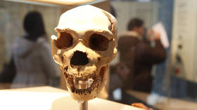 UK to return remains of war heroes to African nation – media