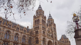 UK to return remains of war heroes to African nation – media
