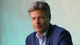 Ex-German vice chancellor warns mainstream ‘dominance’ could end