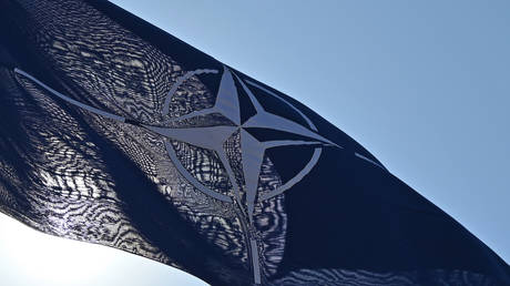European NATO states have ‘no political will’ – US envoy