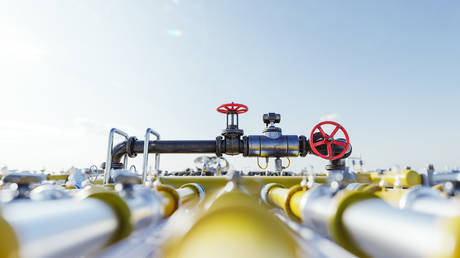 EU country taps record volume of Russian gas