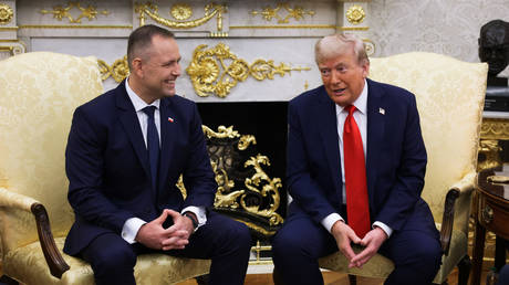 Trump offered expanded security guarantees – Polish president