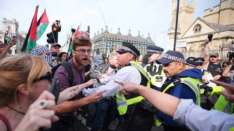 Over 425 Arrested During Pro-Palestine Protest in London