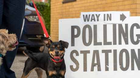 US woman charged with registering dog to vote in elections