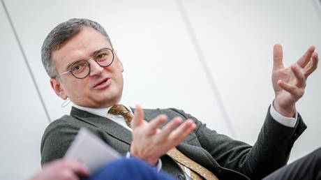 Ex-FM claims Zelensky forced him to secretly flee Ukraine