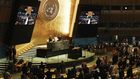 UN recognizes State of Palestine without Hamas – Ukraine votes ‘yes’, US and Israel vote ‘no’