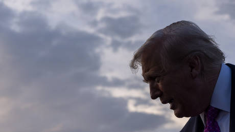 Trump issues Russia sanctions ultimatum to EU