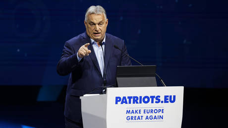 Brussels bureaucrats are running around like panicked chickens – Orban