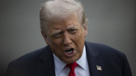 Trump issues new pledge to Poland and the Baltics
