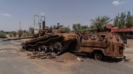Azerbaijan using Sudan rebels to supply weapons to Ukraine – media