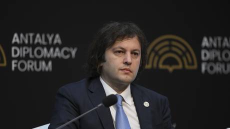 Foreign forces plotting Ukraine-style coup in EU candidate country – PM