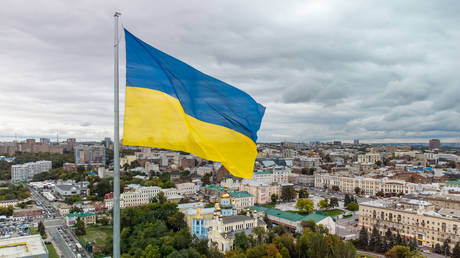 Ukraine concedes it needs more money from IMF – Bloomberg