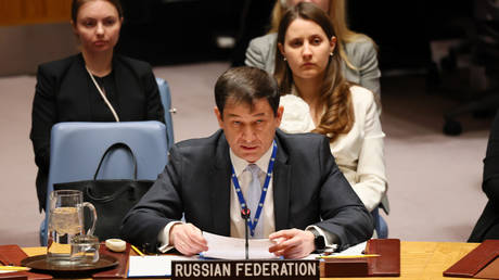 Kiev’s backers living in ‘parallel reality’ – Moscow