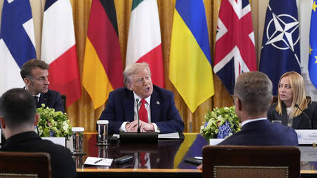 Who’s the ‘paper tiger’ now? The EU will crack under the burden of Ukraine