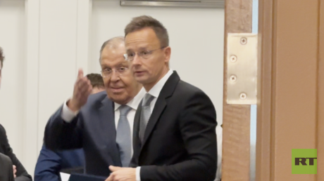 Hungarian foreign minister vows to protect ‘national interests’ after meeting Lavrov