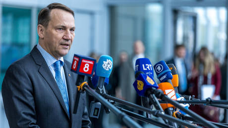 Poland weighed asylum for Nord Stream bombing suspect – media