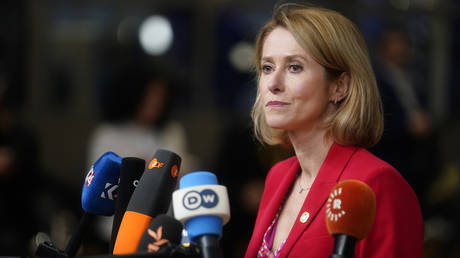 Kallas insists US shouldn’t offload Ukraine on EU