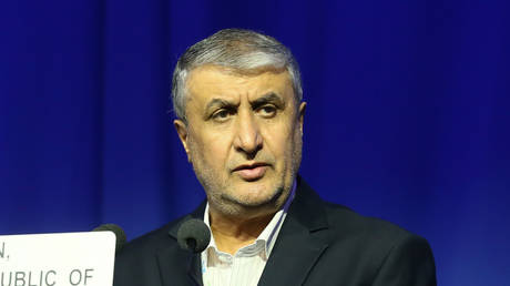 Iran to follow own nuclear path – top energy official