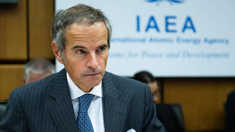 Nuclear watchdog chief vying for UN leadership role