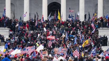 FBI had nearly 300 ‘plainclothes agents’ at Capitol riot – media