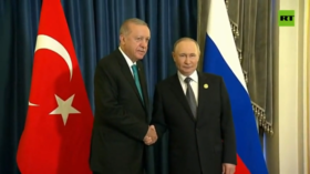 Türkiye’s mediation on Ukraine remains in demand – Putin